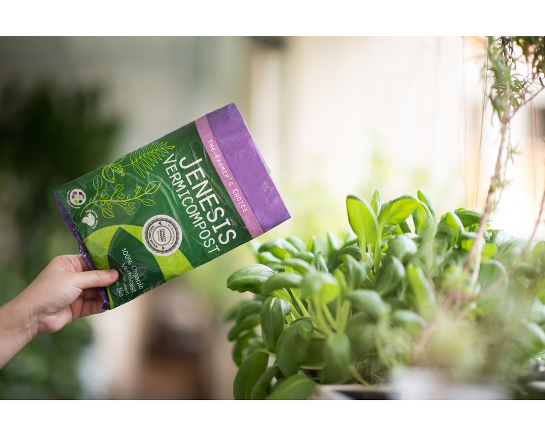 Tips on applying vermicompost - Jenesis Vermicompost