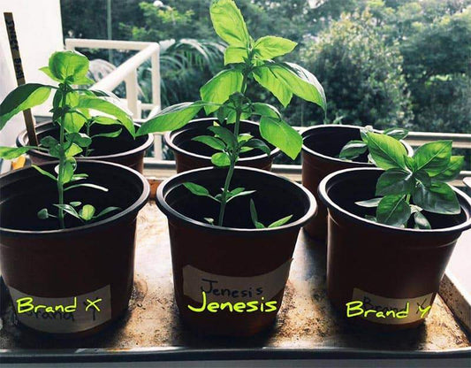 Comparing Jenesis Vermicompost against 3 other brands - Jenesis Vermicompost